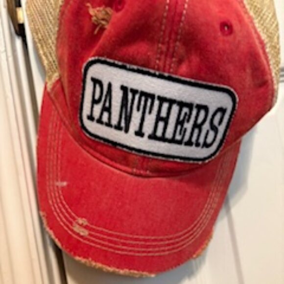 Panthers Trucker Hat - Picture 1 of 2